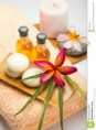/album/fotogaleria-inicio/tropical-spa-concept-22481336-jpg/